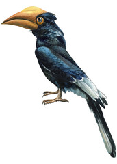 Tropical bright birds of flowers and leaves on a white background, watercolor illustration, botanical painting