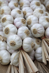 ajos ristra venta mercado 4M0A7834-as23