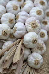 ajos ristra venta mercado 4M0A7836-as23