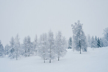 Obraz na płótnie Canvas Winter of rural Toten, Norway, after a snowfall.