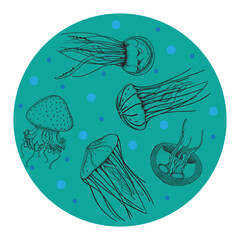 Vector group of sea jellyfish in the shape of a circle for greeting cards, backgrounds and children's designs
