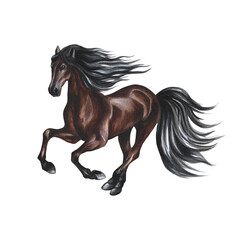Running horse. Hand watercolor. Brown horse isolate. For printing, stickers and labels. For postcards, business cards