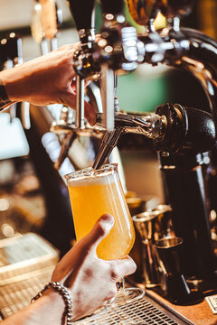 Bartender filling beer from tap at bar