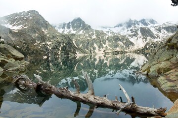 dead tree resting at the bottom of a glacial lake with the pyrenees mountains reflected on the surface