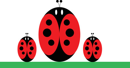 Lady bugs vector on a white background and green grass