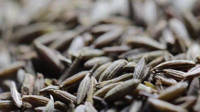 dry cumin grains rotate in a circle