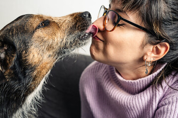 Adorable image of dog kissing and licking his owner in the face. Close up image