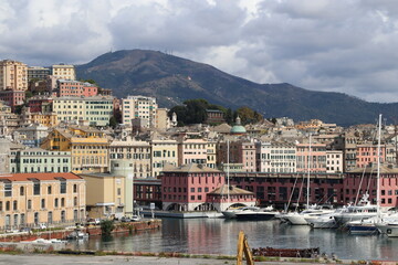view of the city of kotor