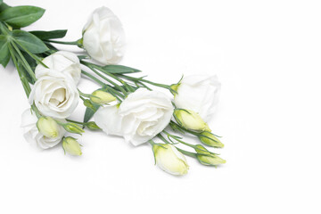 Branch white flowers isolated on white. eustoma.
