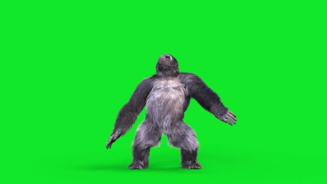 Green Screen Gorilla Dances Hip Hop Dancing Realistic Fur 3D Animations Rendering CGI 4K