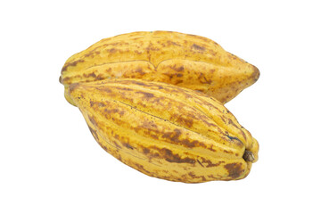 Cocoa pods, Cocoa beans, Chocolate