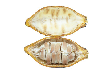 Cocoa pods, Cocoa beans, Chocolate