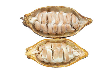 Cocoa pods, Cocoa beans, Chocolate