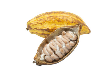 Cocoa pods, Cocoa beans, Chocolate