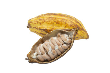 Cocoa pods, Cocoa beans, Chocolate