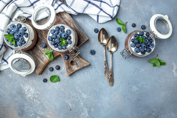 Chocolate panna cotta with blueberries. Chocolate pudding and greek yogurt parfait. Long banner format
