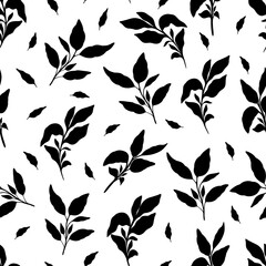 Basil black and white pattern. Basil kitchen herbs isolated on white background