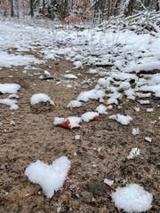 heart in snow