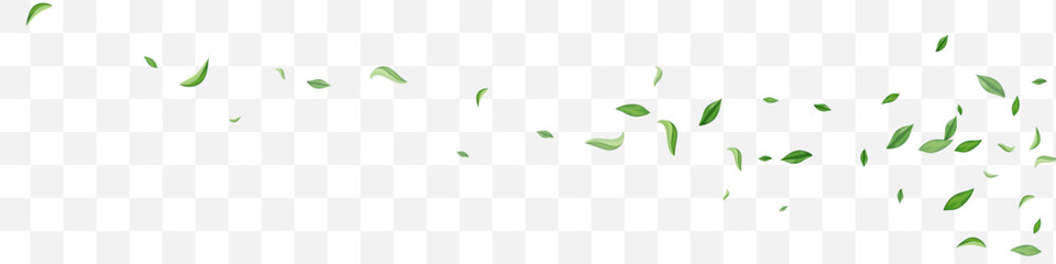 Lime Leaves Motion Vector Transparent Panoramic