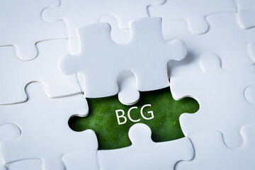 BCG concept for sustainable economic development. The inscription on a green leaf integrated into...