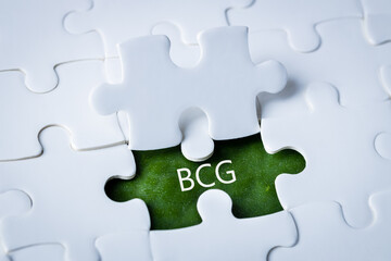 Fototapeta premium BCG concept for sustainable economic development. The inscription on a green leaf integrated into white puzzles, Bioeconomy, circular economy, green economy. BCG's new economic model