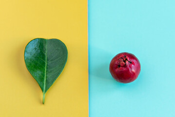 Leaf and Fruit Cattley guava, red fruit Psidium cattleyanum on green and yellow background