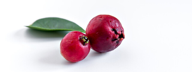 Leaf and Fruit Cattley guava, red fruit Psidium cattleyanum on white background outdoor format.