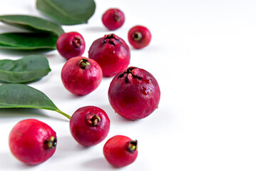 Leaf and Fruit Cattley guava, red fruit Psidium cattleyanum on white background.