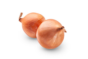 Onion isolated on white background. Ripe onion on white