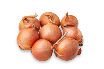 Onion isolated on white background. Bunch of ripe onions on white