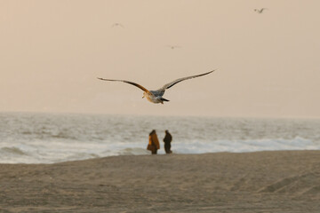 moody couple on the beach