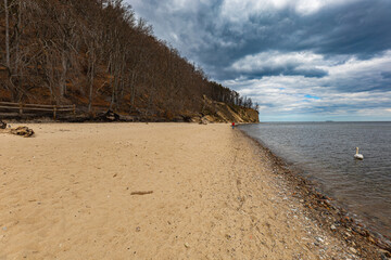 Coast of Baltic sea at the small beach next to high cliffs