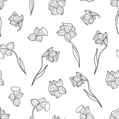 Narcissus ink botanical flower pattern. Black and white ink art.