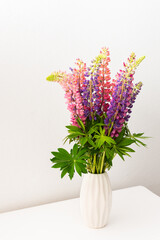 Lupinus in a white vase against a white wall, part of a home interior, house decoration with flowers lupin, cozy summer background