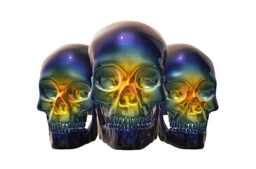 skull,  human skeleton