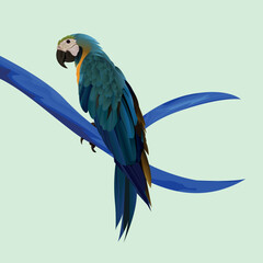 Realistic Parrot Art design © Jabin