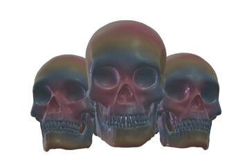 skull,  human skeleton