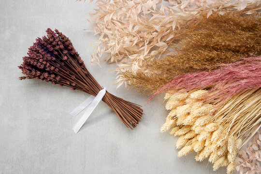 A tied bundle of dried lavender.  Dried plants, flowers and spikelets for decorative bouquets and design. Top view.