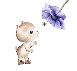 Watercolor illustration cute cat with purple anemones. Kitten white background. Hand drawn