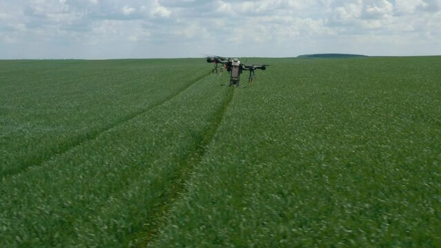 Agriculture drone fly to sprayed fertilizer on the rice field. industrial revolution. agriculture technology.