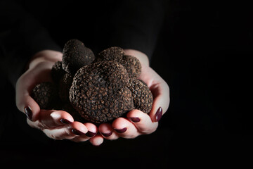 Truffle mushroom. Black truffle in women's hands. An expensive delicacy. Fragrant mushroom. A photo...