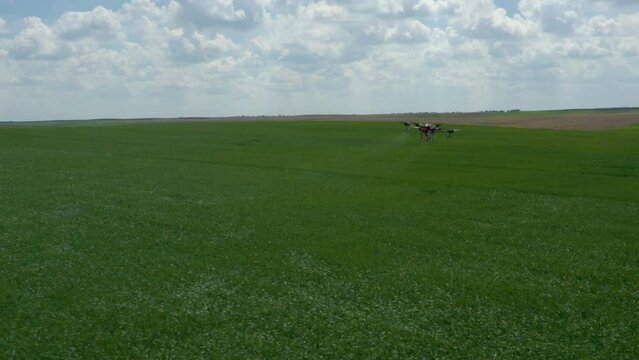 Agriculture drone fly to sprayed fertilizer on the rice field. industrial revolution. agriculture technology.