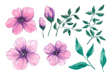 Drawn pink watercolor airy flowers. Decor set. Clip art. Elements. Pink flowers. Holidays. Making postcards. Watercolor. Texture.