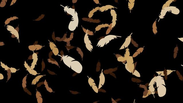 Falling feathers animation particles pattern texture seamless loop eagle brown color scheme colour