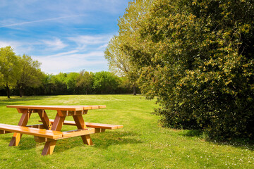 Wooden picnic table on a green meadow of a public park with trees and recreation areas for leisure...