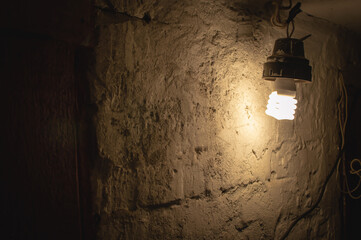 An incandescent light bulb dimly illuminating a whitewashed brick wall and an old doorway in a dark creepy basement