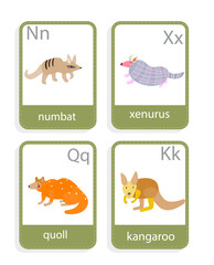 card with australian animals xenurus, numbat, kangaroo, quoll,  vector set