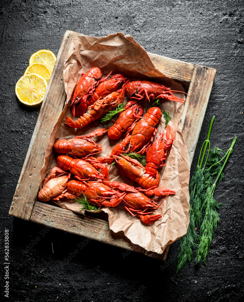 Wall mural Boiled crayfish on paper in tray with dill and lemon.