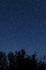 Starry sky with many multi-colored stars, the Milky Way, against the background of silhouettes of...