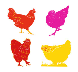 Farm animals mix pop line Illustration hen art collection deco shadow and outline pop effect image white background